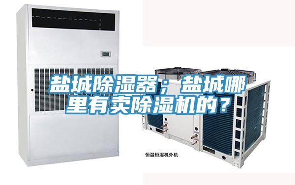 鹽城除濕器；鹽城哪里有賣除濕機(jī)的？