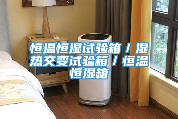 恒溫恒濕試驗(yàn)箱／濕熱交變?cè)囼?yàn)箱／恒溫恒濕箱