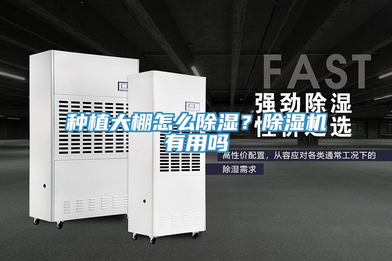 種植大棚怎么除濕？除濕機(jī)有用嗎