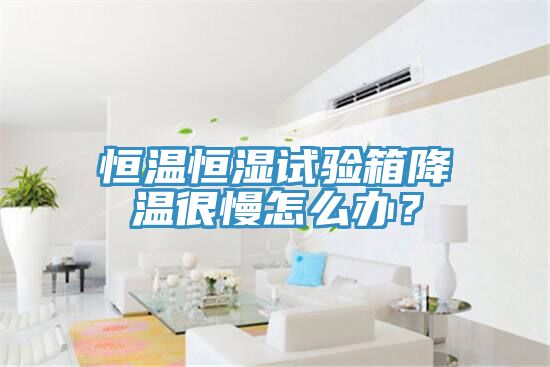 恒溫恒濕試驗箱降溫很慢怎么辦？