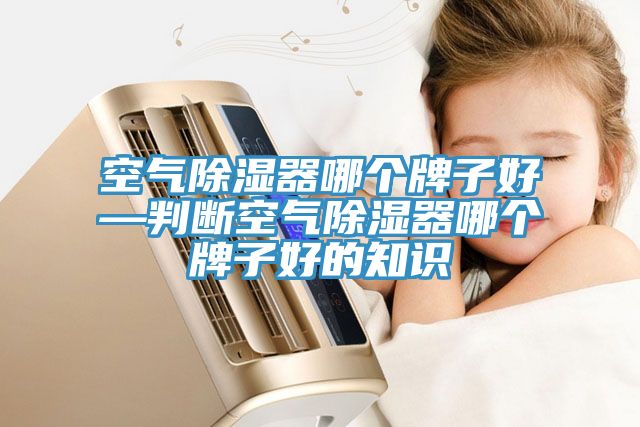 空氣除濕器哪個牌子好—判斷空氣除濕器哪個牌子好的知識