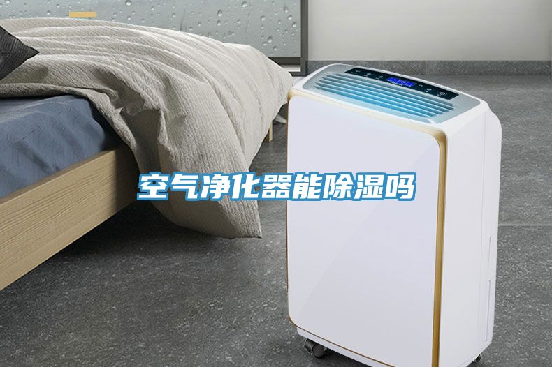 空氣凈化器能除濕嗎