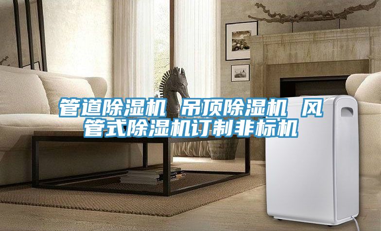 管道除濕機 吊頂除濕機 風(fēng)管式除濕機訂制非標機
