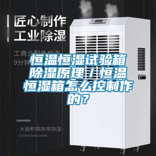 恒溫恒濕試驗箱除濕原理／恒溫恒濕箱怎么控制作的？