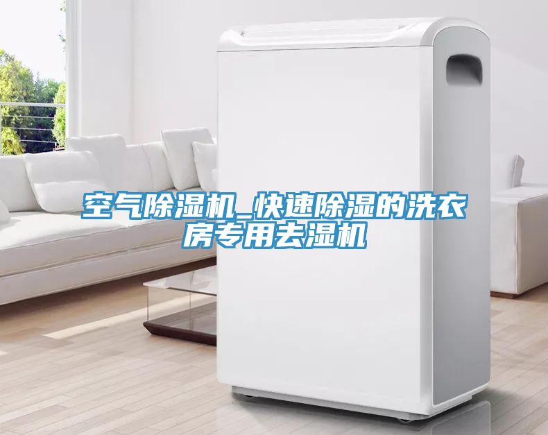 空氣除濕機(jī)_快速除濕的洗衣房專用去濕機(jī)