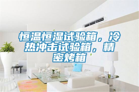 恒溫恒濕試驗(yàn)箱，冷熱沖擊試驗(yàn)箱，精密烤箱