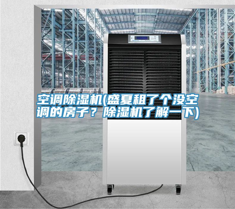 空調(diào)除濕機(jī)(盛夏租了個(gè)沒(méi)空調(diào)的房子？除濕機(jī)了解一下)