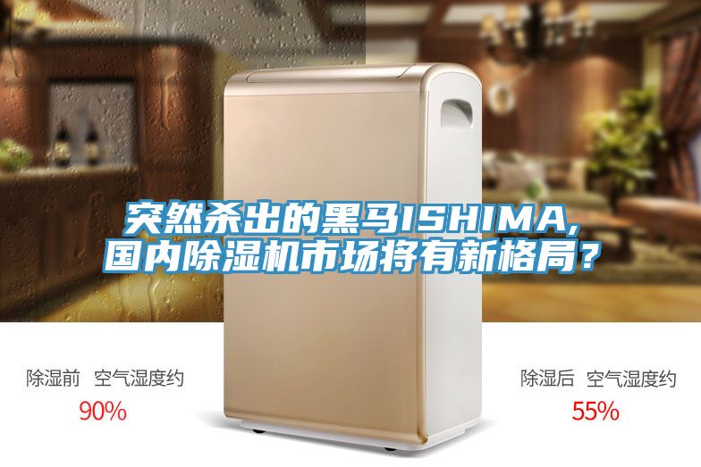突然殺出的黑馬ISHIMA,國內(nèi)除濕機市場將有新格局？