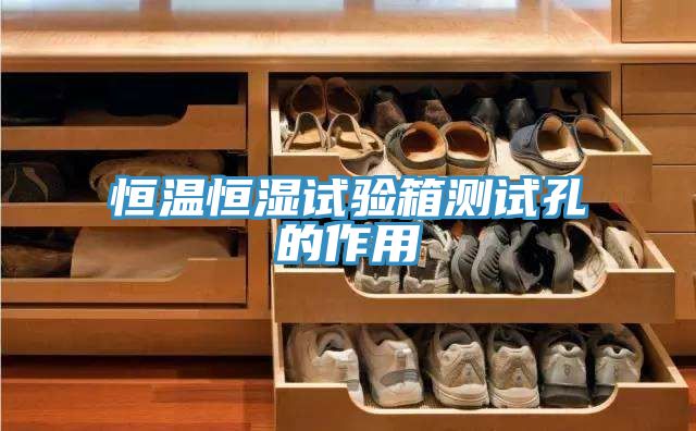 恒溫恒濕試驗(yàn)箱測(cè)試孔的作用