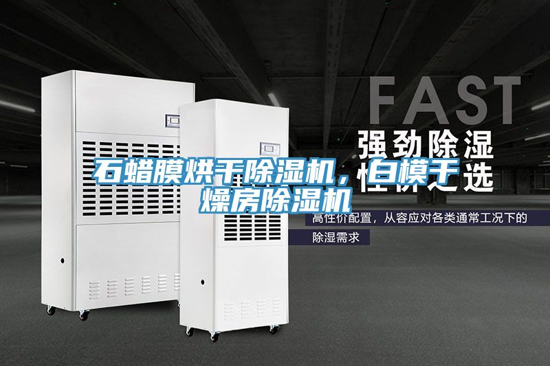 石蠟?zāi)ず娓沙凉駲C(jī)，白模干燥房除濕機(jī)