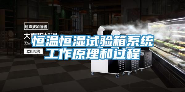 恒溫恒濕試驗(yàn)箱系統(tǒng)工作原理和過(guò)程