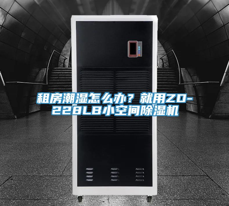 租房潮濕怎么辦？就用ZD-228LB小空間除濕機(jī)
