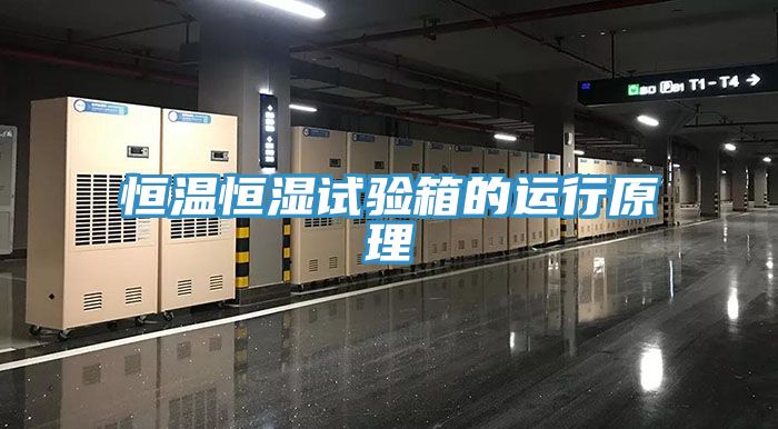 恒溫恒濕試驗(yàn)箱的運(yùn)行原理