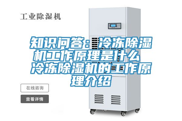 知識(shí)問答：冷凍除濕機(jī)工作原理是什么 冷凍除濕機(jī)的工作原理介紹
