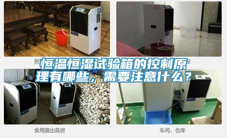 恒溫恒濕試驗(yàn)箱的控制原理有哪些，需要注意什么？