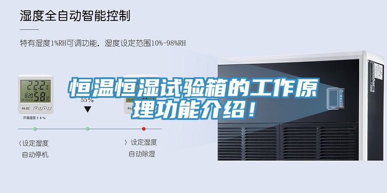 恒溫恒濕試驗(yàn)箱的工作原理功能介紹！