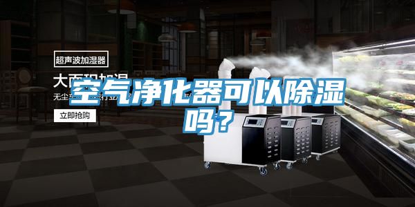 空氣凈化器可以除濕嗎？