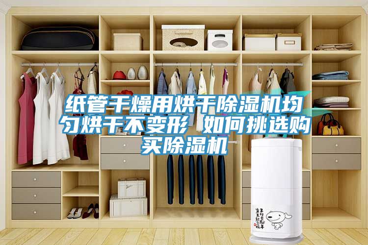 紙管干燥用烘干除濕機(jī)均勻烘干不變形 如何挑選購買除濕機(jī)