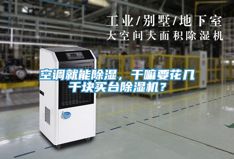 空調(diào)就能除濕，干嘛要花幾千塊買臺除濕機(jī)？
