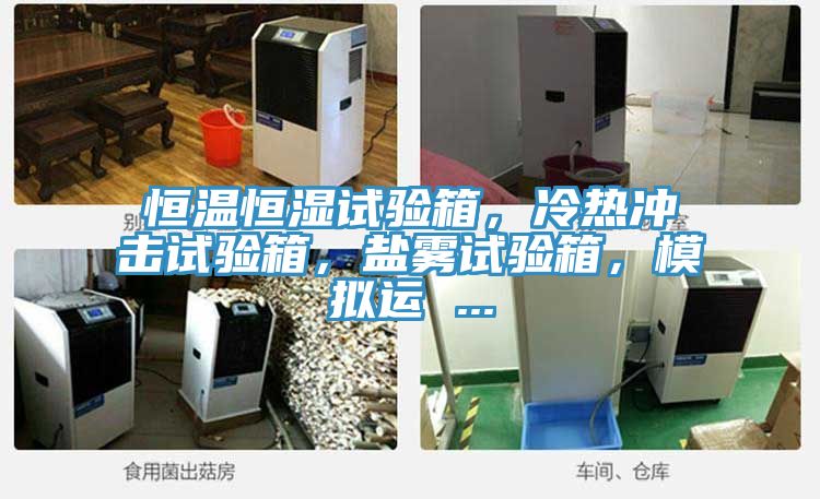 恒溫恒濕試驗箱，冷熱沖擊試驗箱，鹽霧試驗箱，模擬運 ...