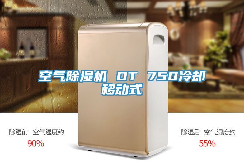 空氣除濕機(jī) DT 750冷卻移動式