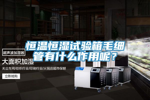 恒溫恒濕試驗(yàn)箱毛細(xì)管有什么作用呢？