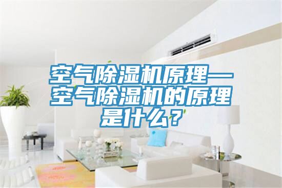 空氣除濕機(jī)原理—空氣除濕機(jī)的原理是什么？