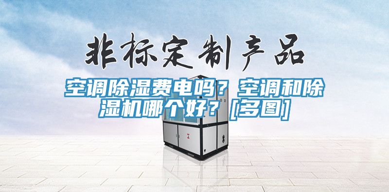 空調(diào)除濕費電嗎？空調(diào)和除濕機哪個好？[多圖]
