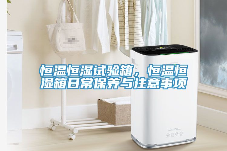 恒溫恒濕試驗(yàn)箱，恒溫恒濕箱日常保養(yǎng)與注意事項(xiàng)