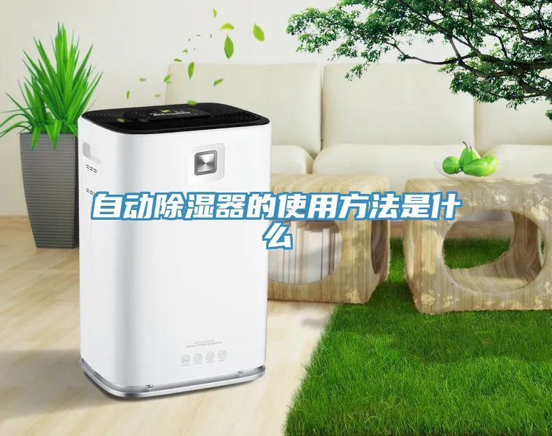 自動除濕器的使用方法是什么