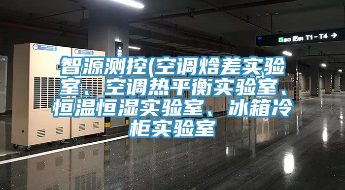 智源測控(空調(diào)焓差實驗室、空調(diào)熱平衡實驗室、恒溫恒濕實驗室、冰箱冷柜實驗室