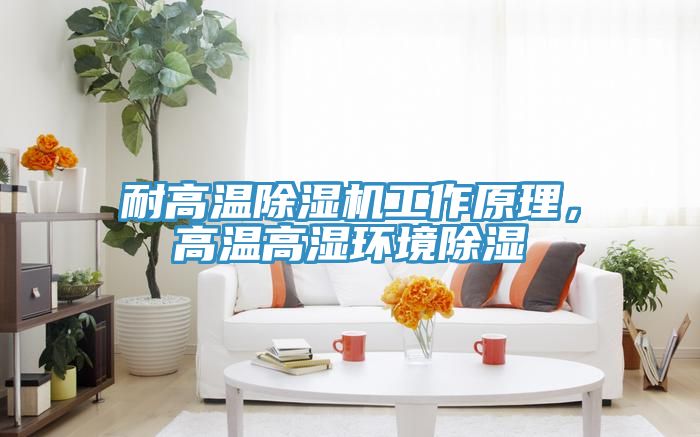 耐高溫除濕機工作原理，高溫高濕環(huán)境除濕
