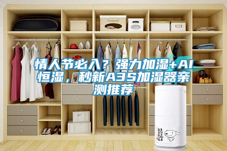 情人節(jié)必入？強力加濕+AI恒濕，秒新A3S加濕器親測推薦