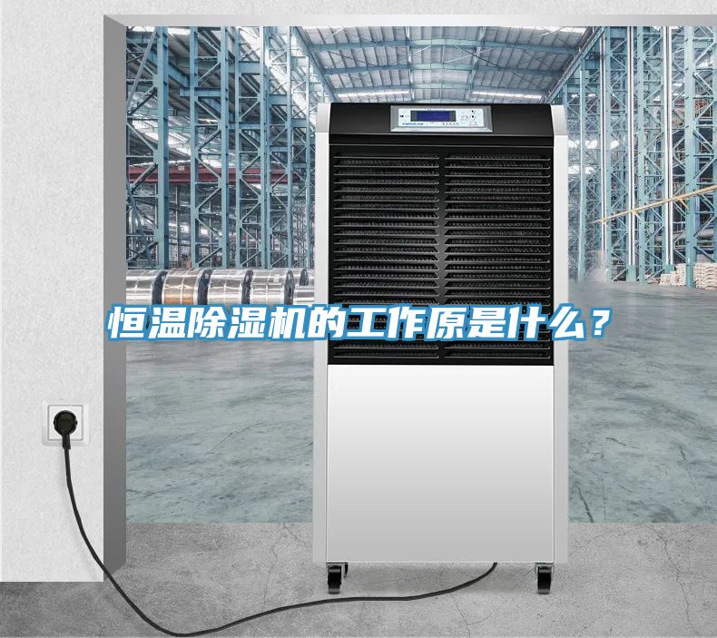 恒溫除濕機的工作原是什么？