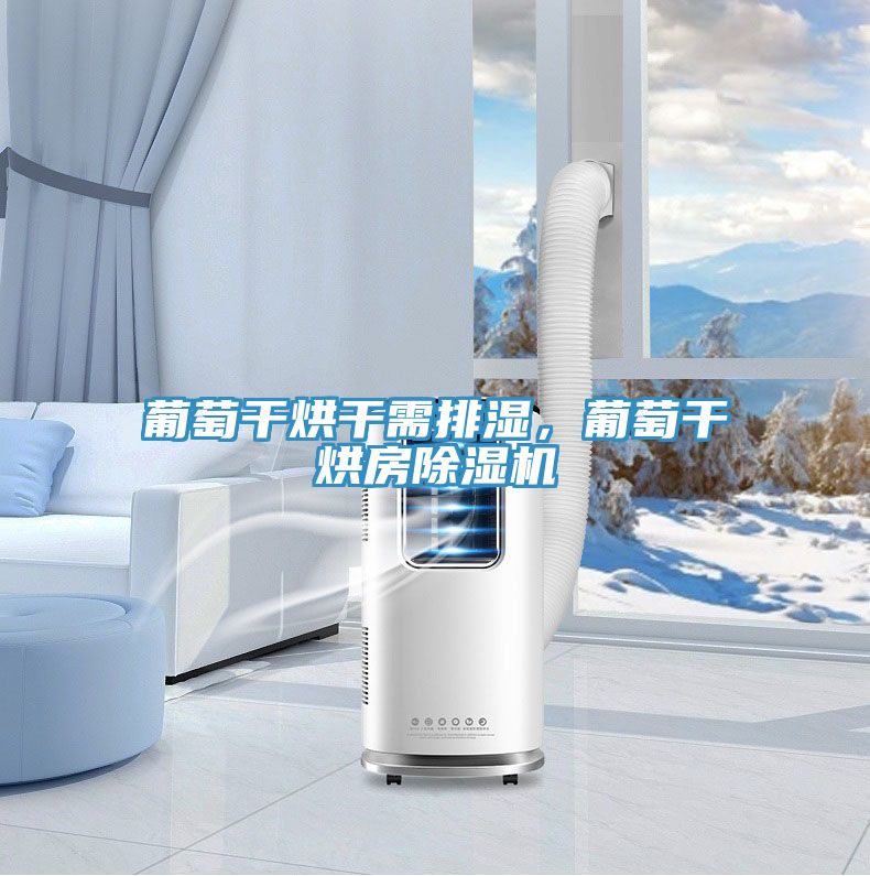 葡萄干烘干需排濕，葡萄干烘房除濕機(jī)
