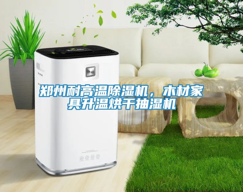 鄭州耐高溫除濕機，木材家具升溫烘干抽濕機