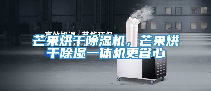 芒果烘干除濕機(jī)，芒果烘干除濕一體機(jī)更省心