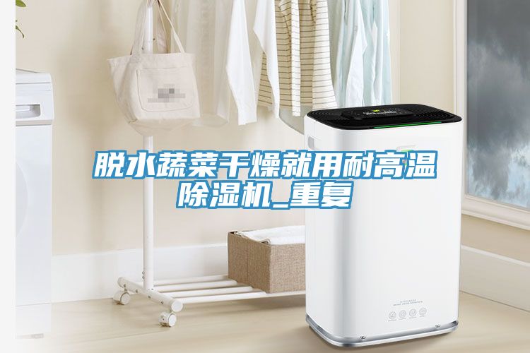 脫水蔬菜干燥就用耐高溫除濕機_重復(fù)