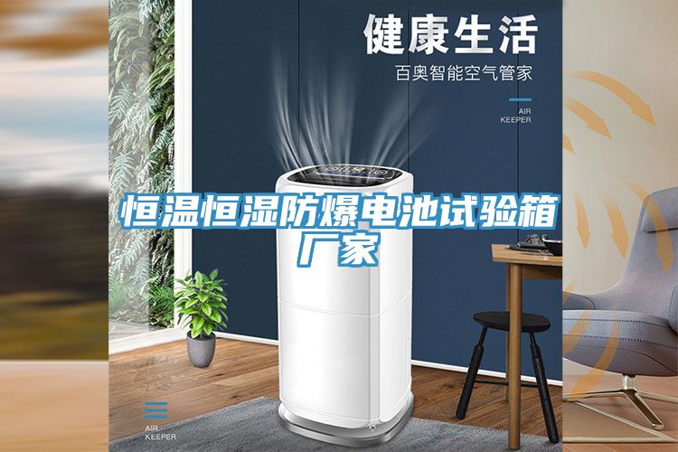 恒溫恒濕防爆電池試驗(yàn)箱廠家