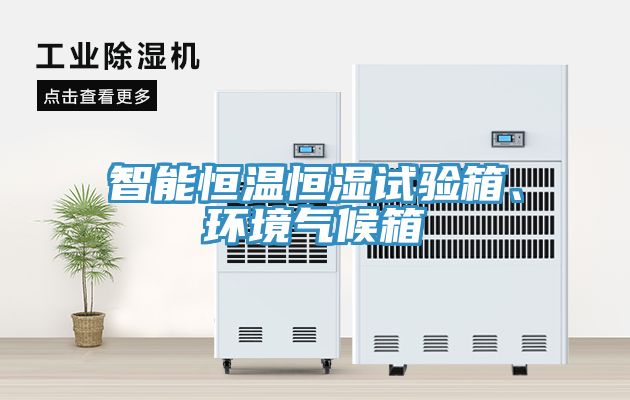 智能恒溫恒濕試驗(yàn)箱、環(huán)境氣候箱