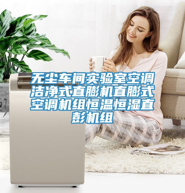 無塵車間實驗室空調(diào)潔凈式直膨機(jī)直膨式空調(diào)機(jī)組恒溫恒濕直彭機(jī)組