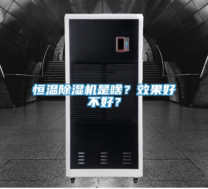 恒溫除濕機是啥？效果好不好？