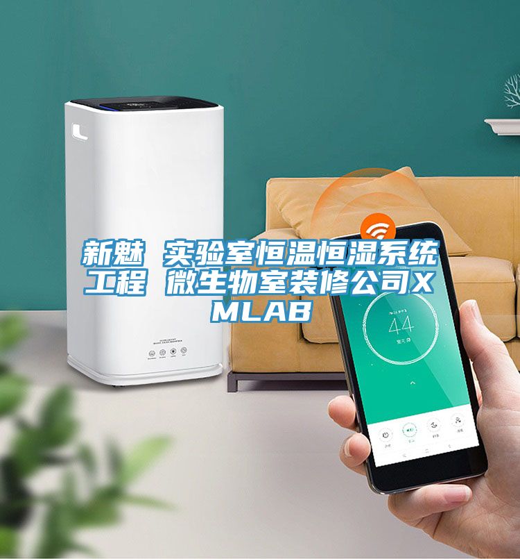 新魅 實驗室恒溫恒濕系統(tǒng)工程 微生物室裝修公司XMLAB