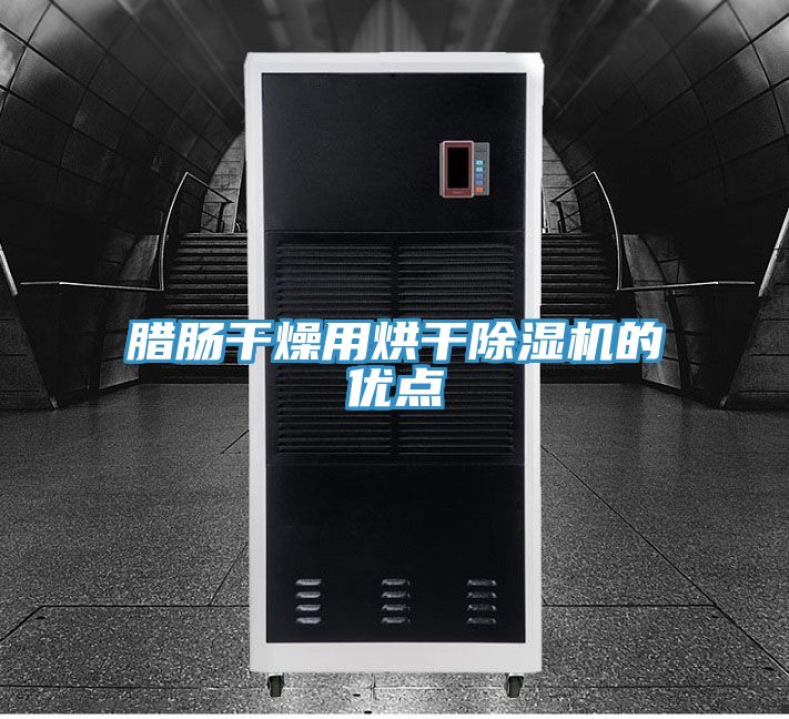 臘腸干燥用烘干除濕機的優(yōu)點