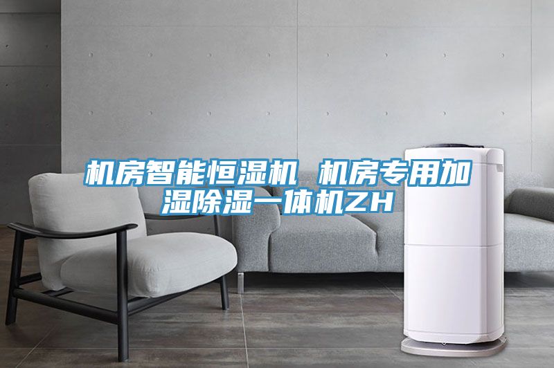機(jī)房智能恒濕機(jī) 機(jī)房專(zhuān)用加濕除濕一體機(jī)ZH