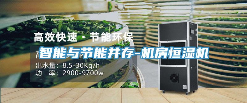 智能與節(jié)能并存-機房恒濕機