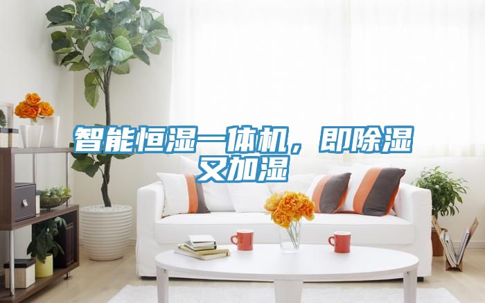 智能恒濕一體機(jī)，即除濕又加濕
