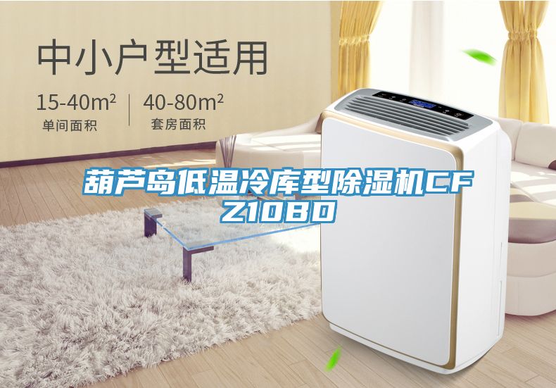 葫蘆島低溫冷庫型除濕機(jī)CFZ10BD