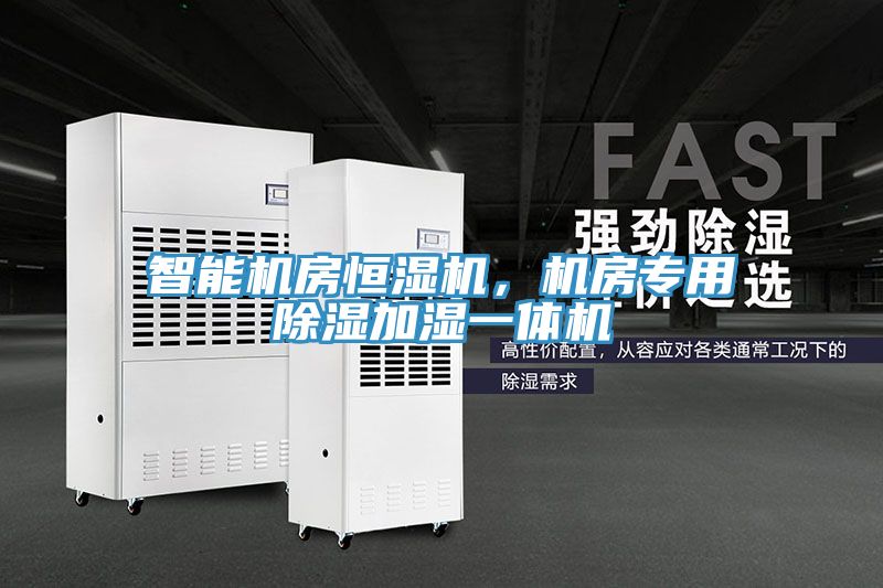 智能機(jī)房恒濕機(jī)，機(jī)房專用除濕加濕一體機(jī)