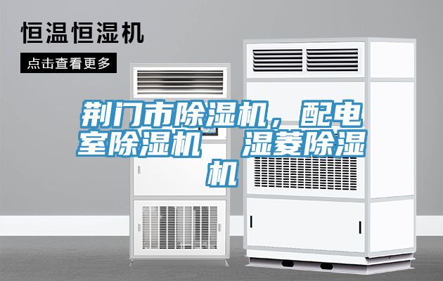 荊門市除濕機(jī)，配電室除濕機(jī)  濕菱除濕機(jī)